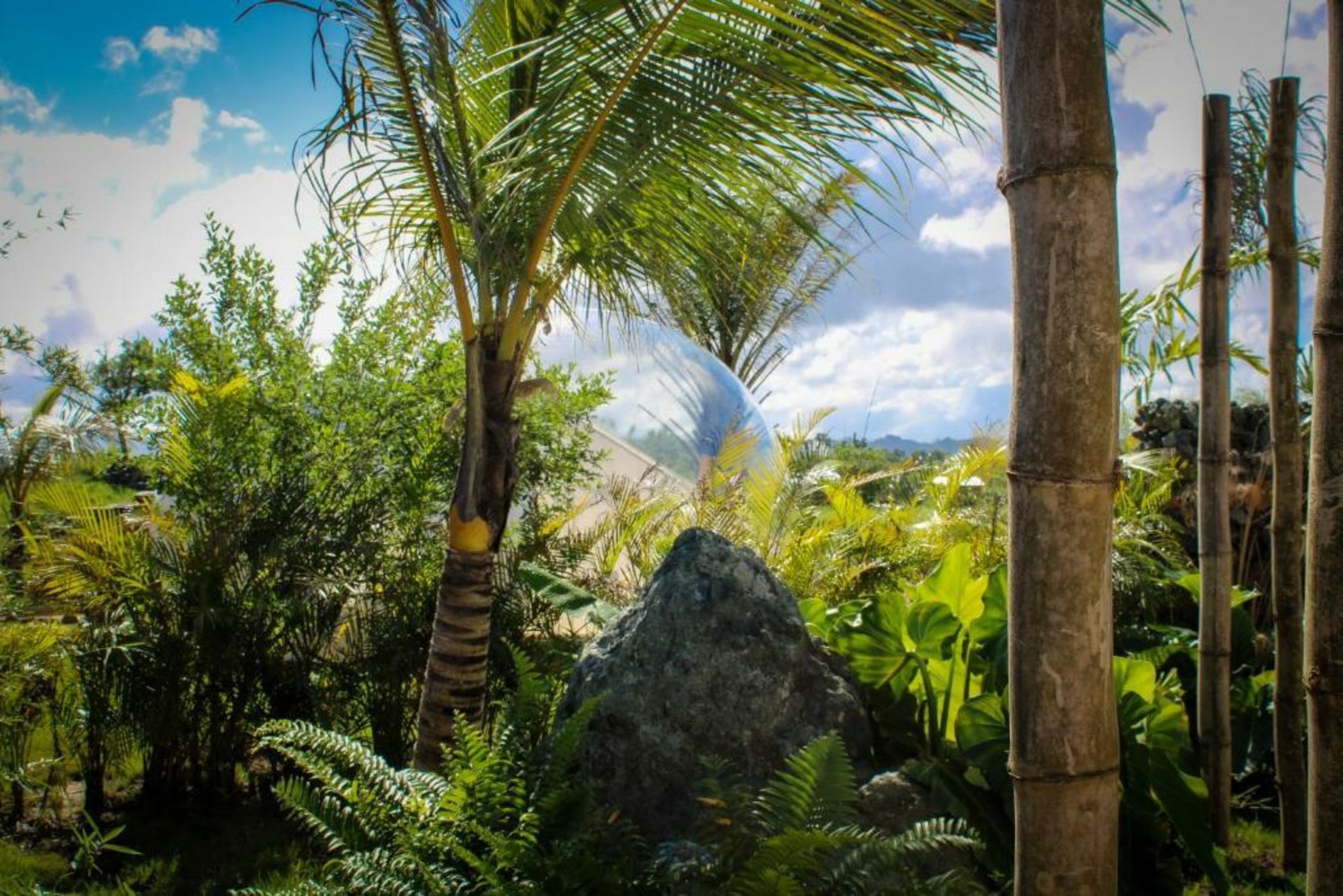 Green Land Bubble Glamping