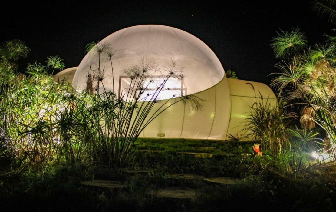 Green Land Bubble Glamping