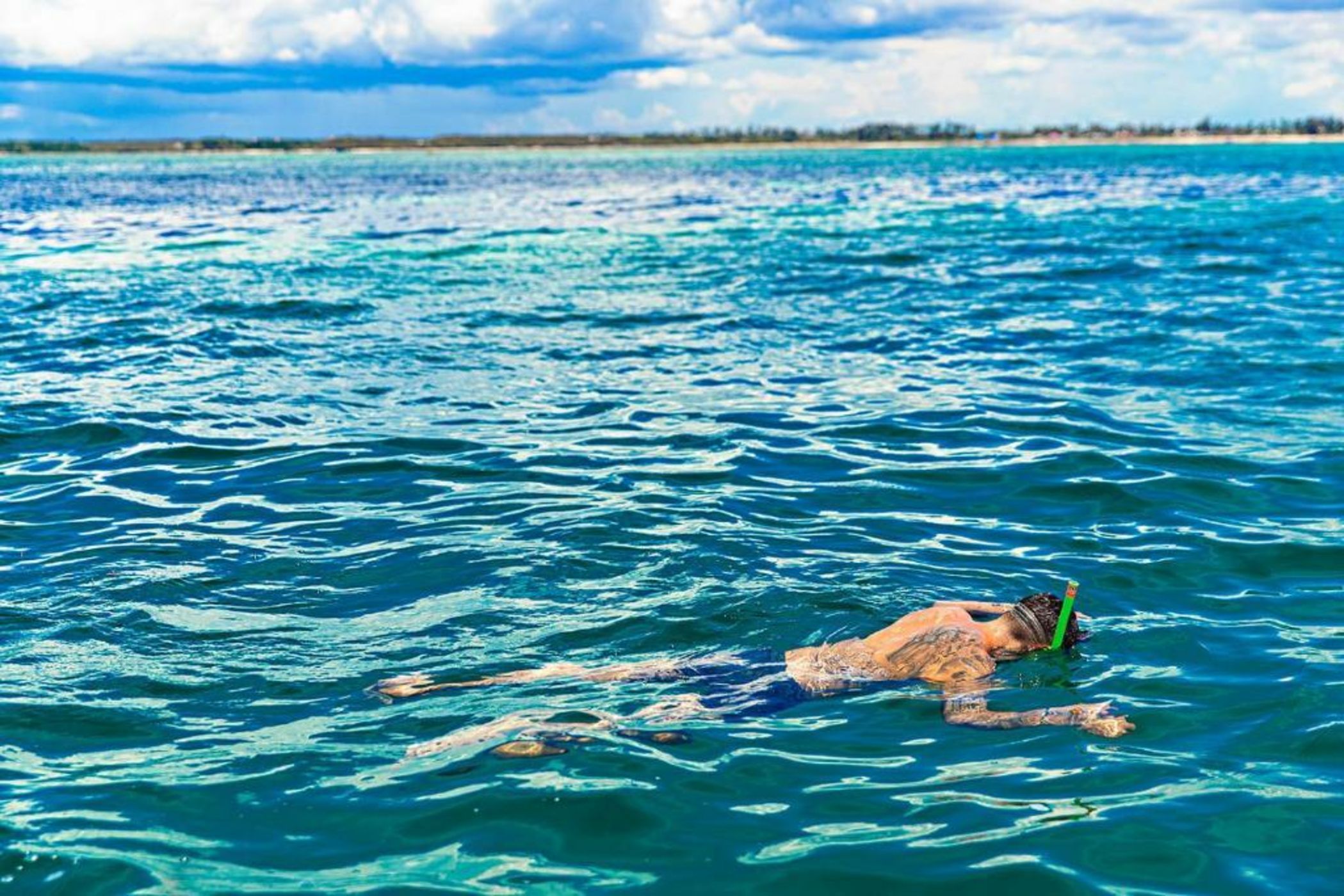 The Island - Pongwe Lodge