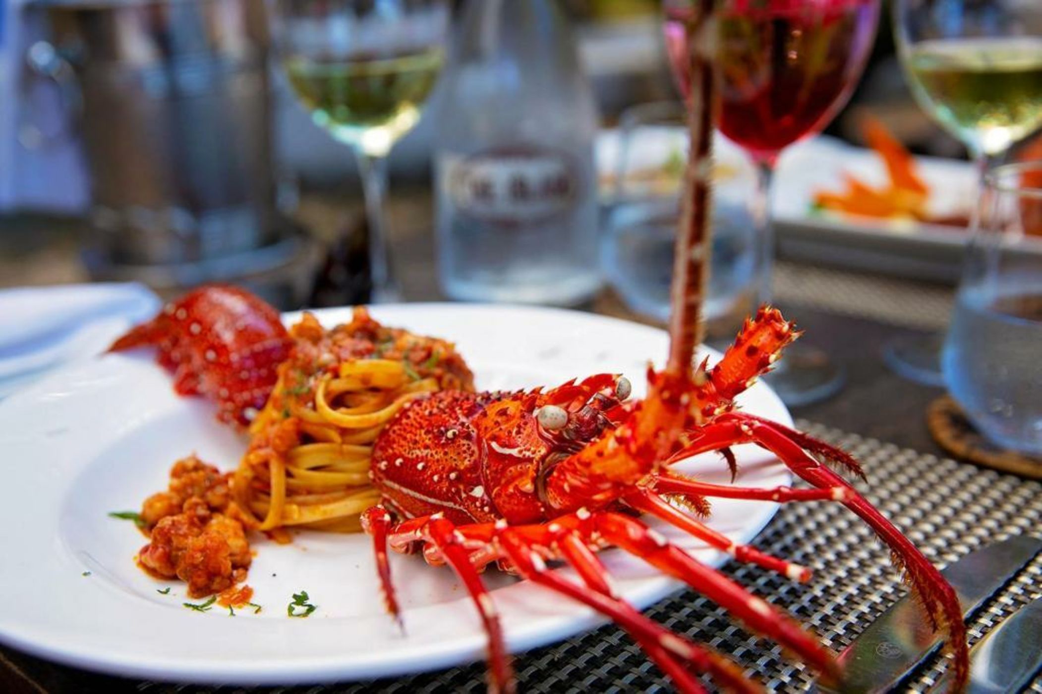 The Island - Pongwe Lodge