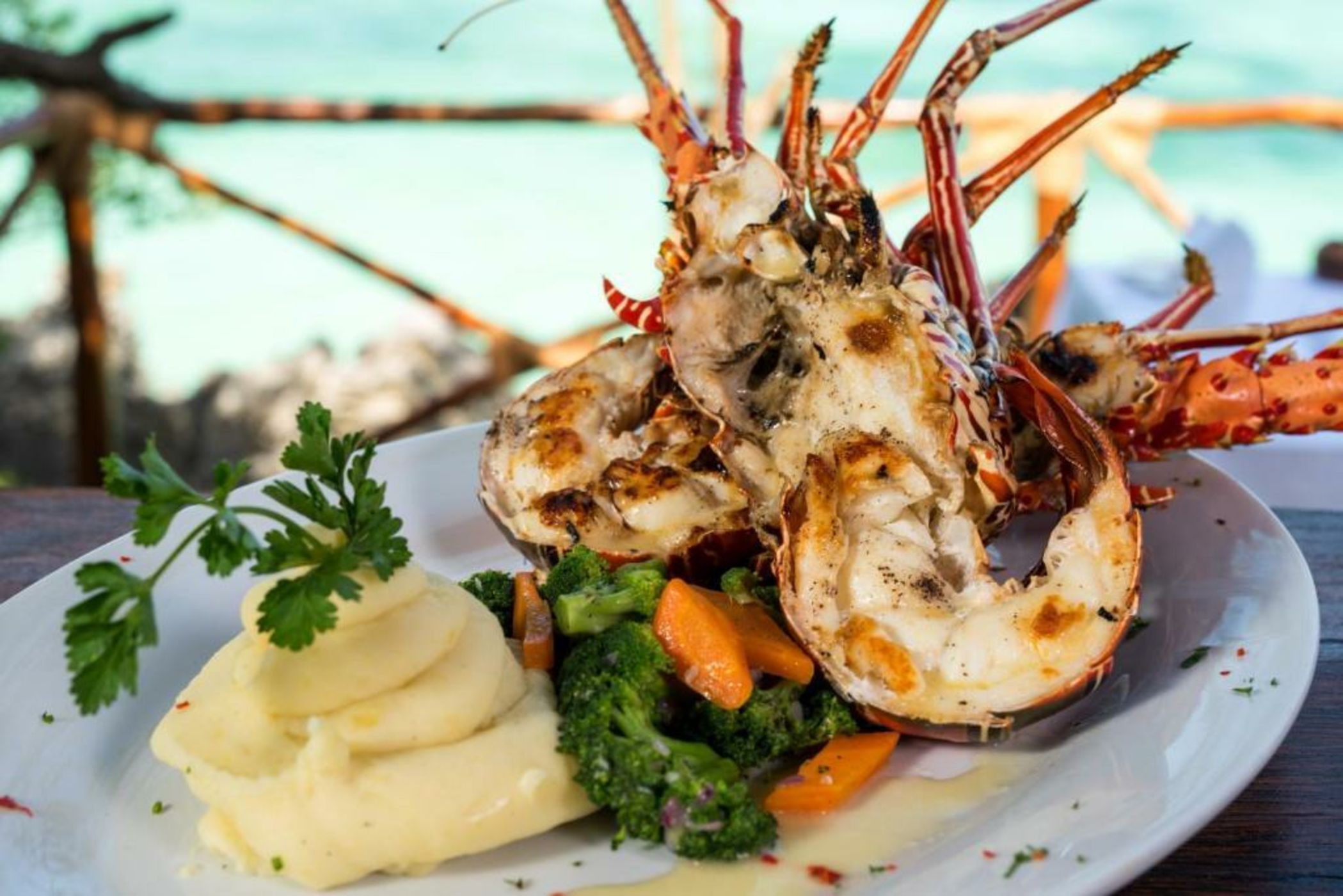 The Island - Pongwe Lodge