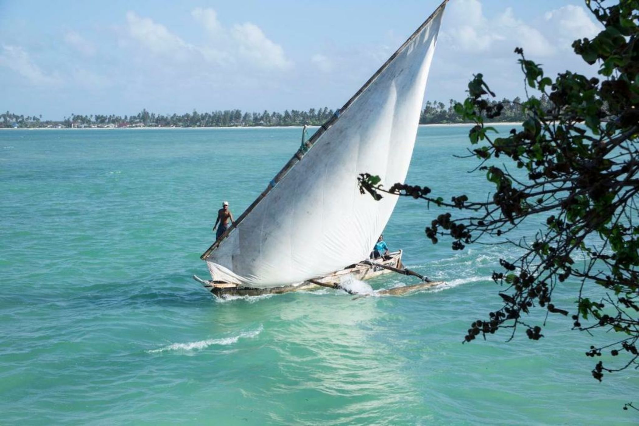 The Island - Pongwe Lodge