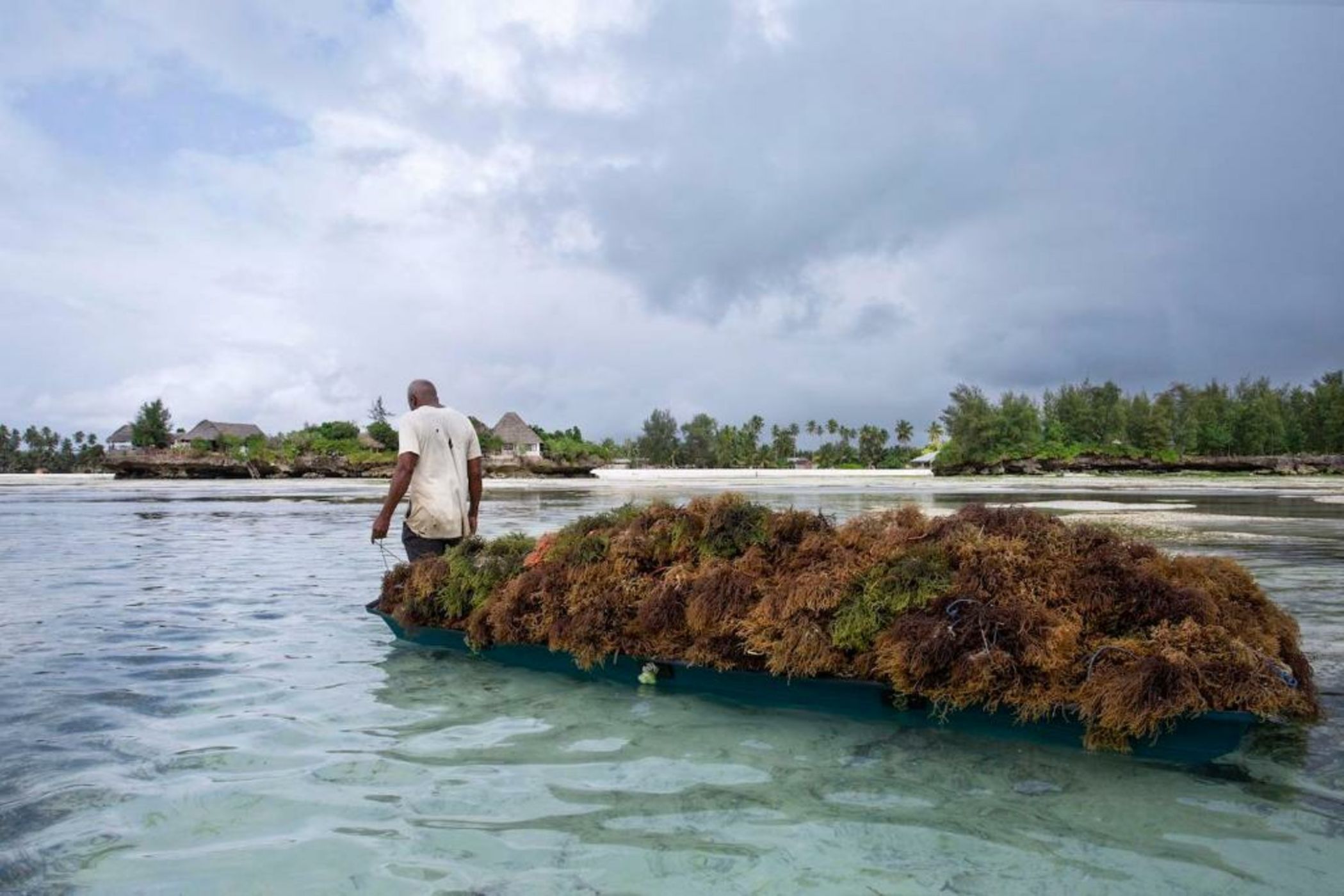 The Island - Pongwe Lodge