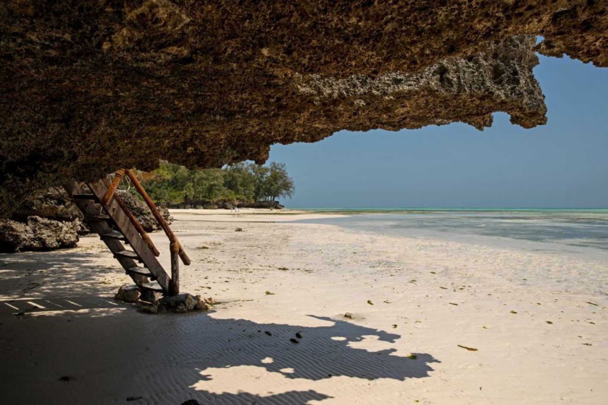 The Island - Pongwe Lodge