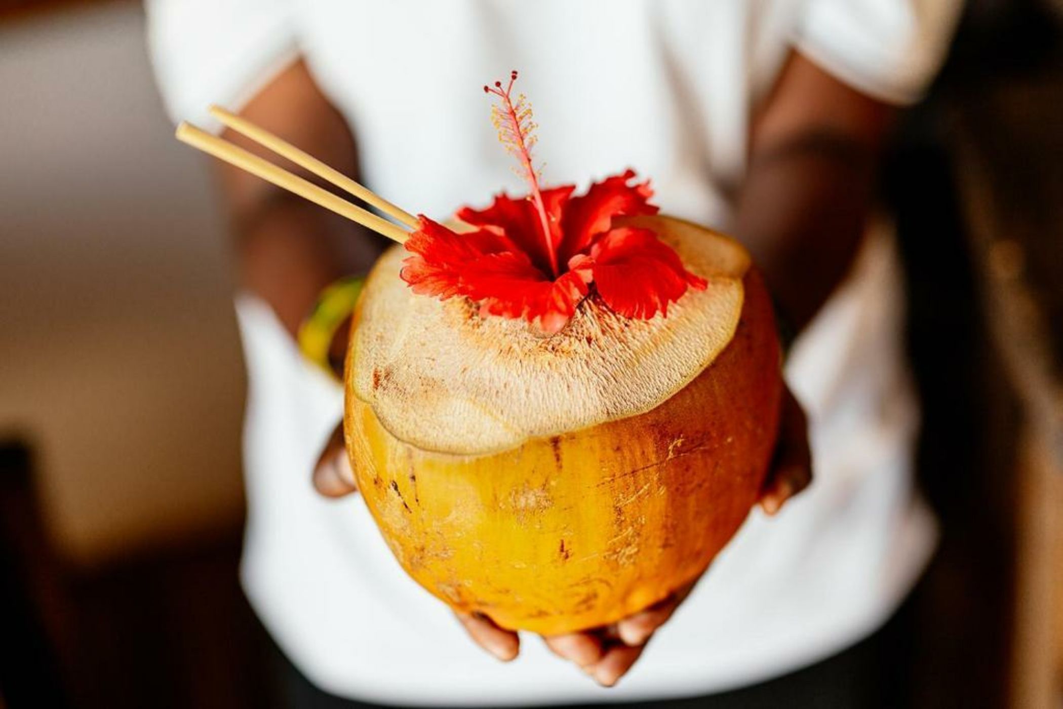 The Island - Pongwe Lodge