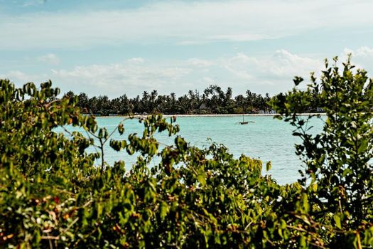 The Island - Pongwe Lodge