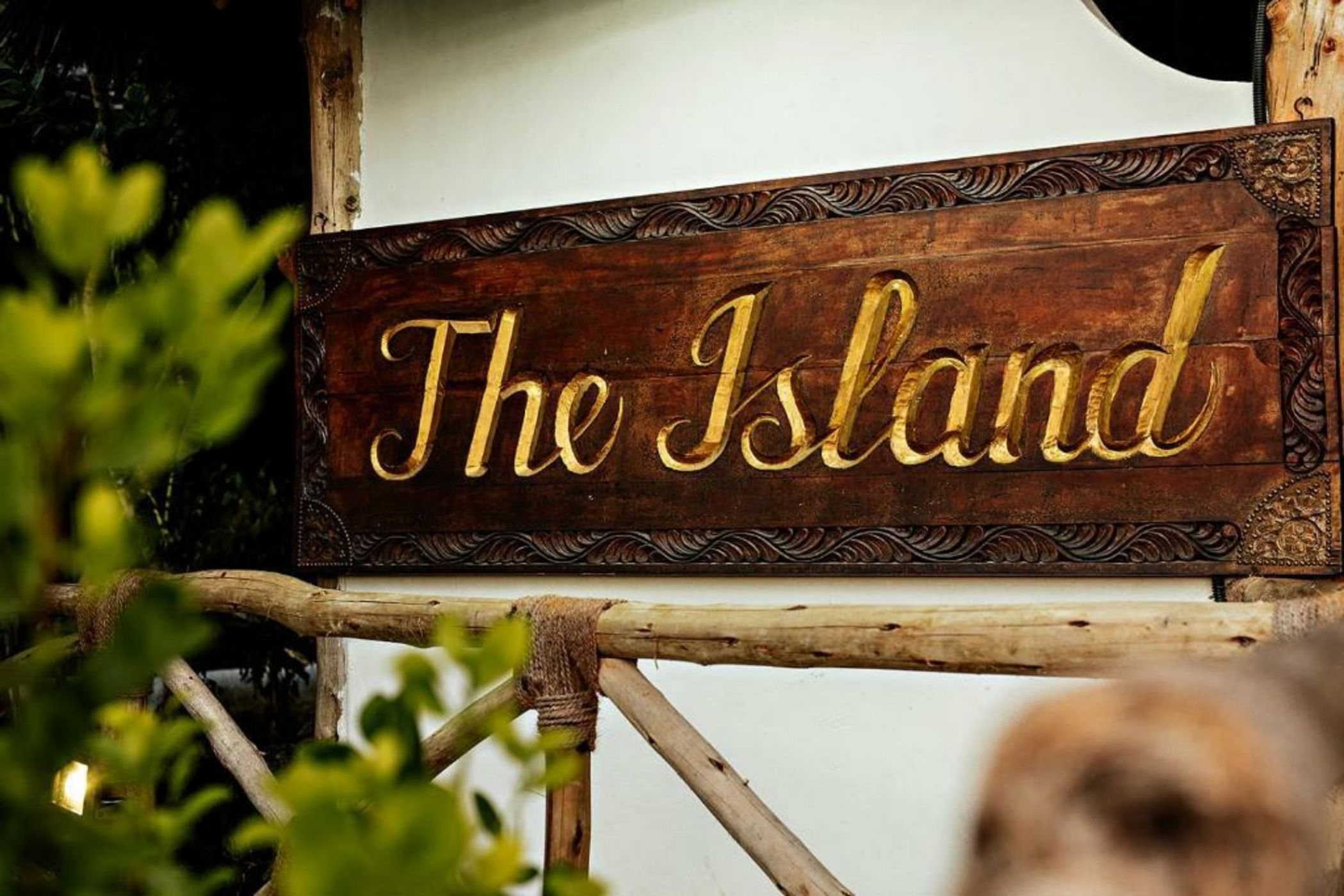 The Island - Pongwe Lodge