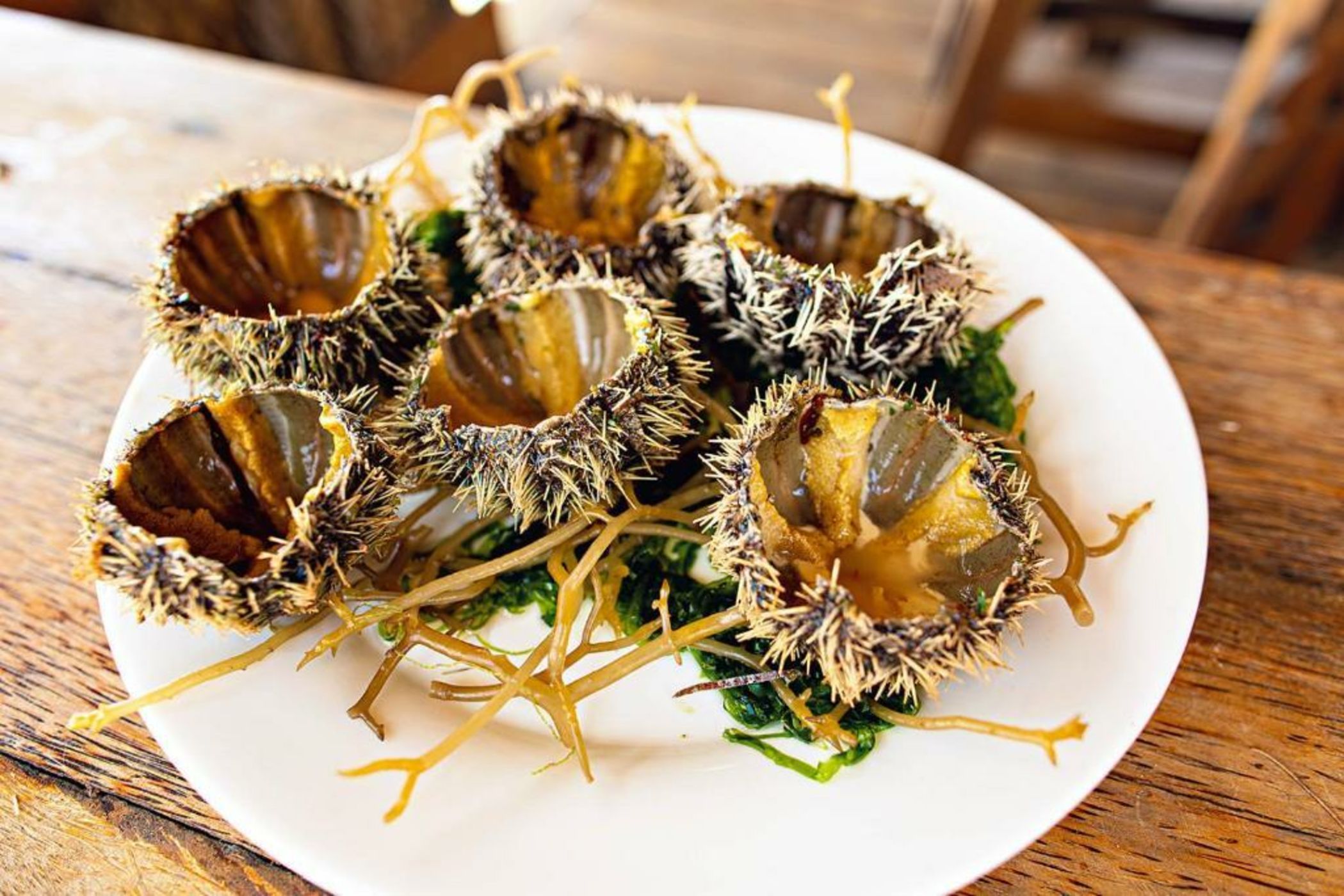 The Island - Pongwe Lodge