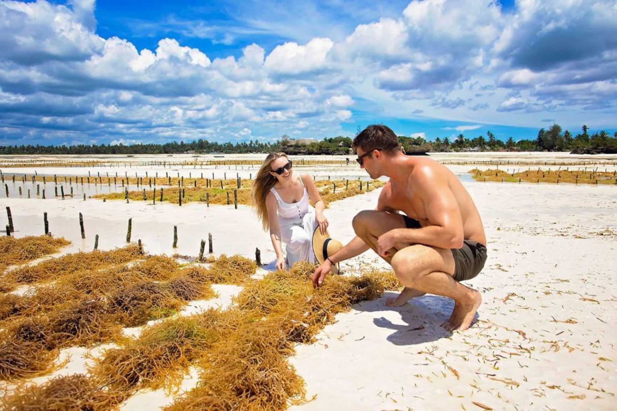 The Island - Pongwe Lodge