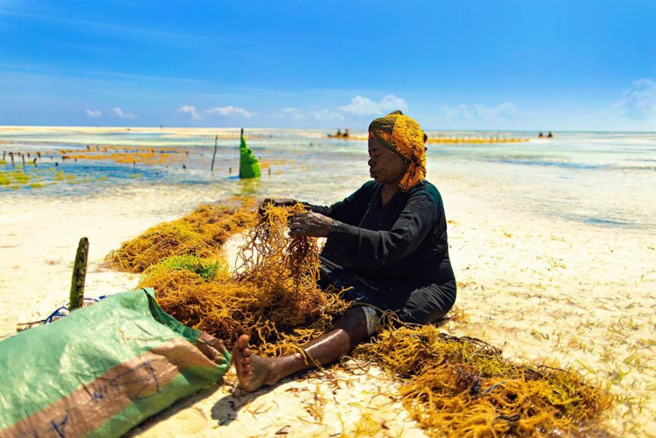 The Island - Pongwe Lodge