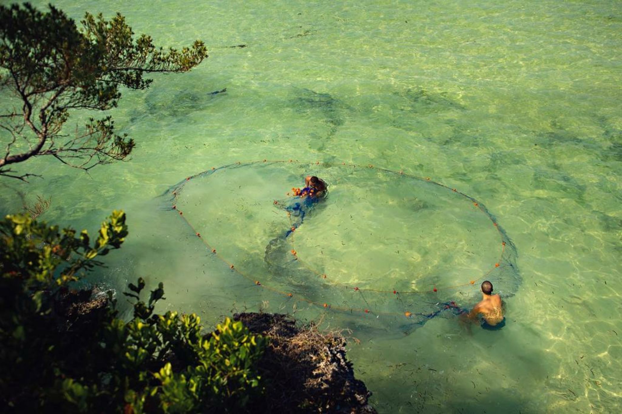 The Island - Pongwe Lodge