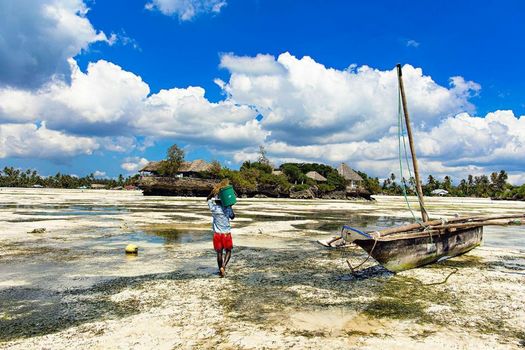The Island - Pongwe Lodge