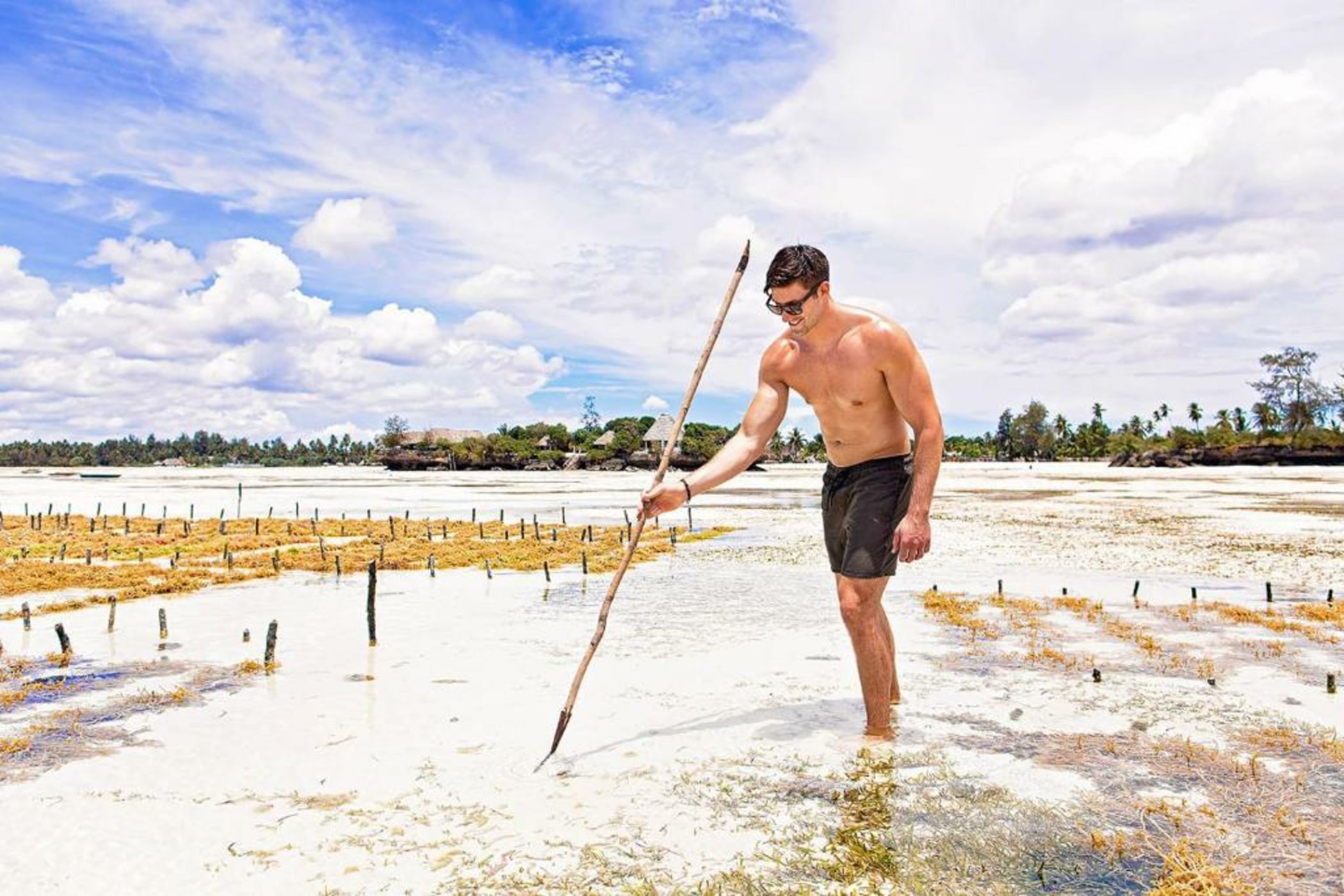 The Island - Pongwe Lodge