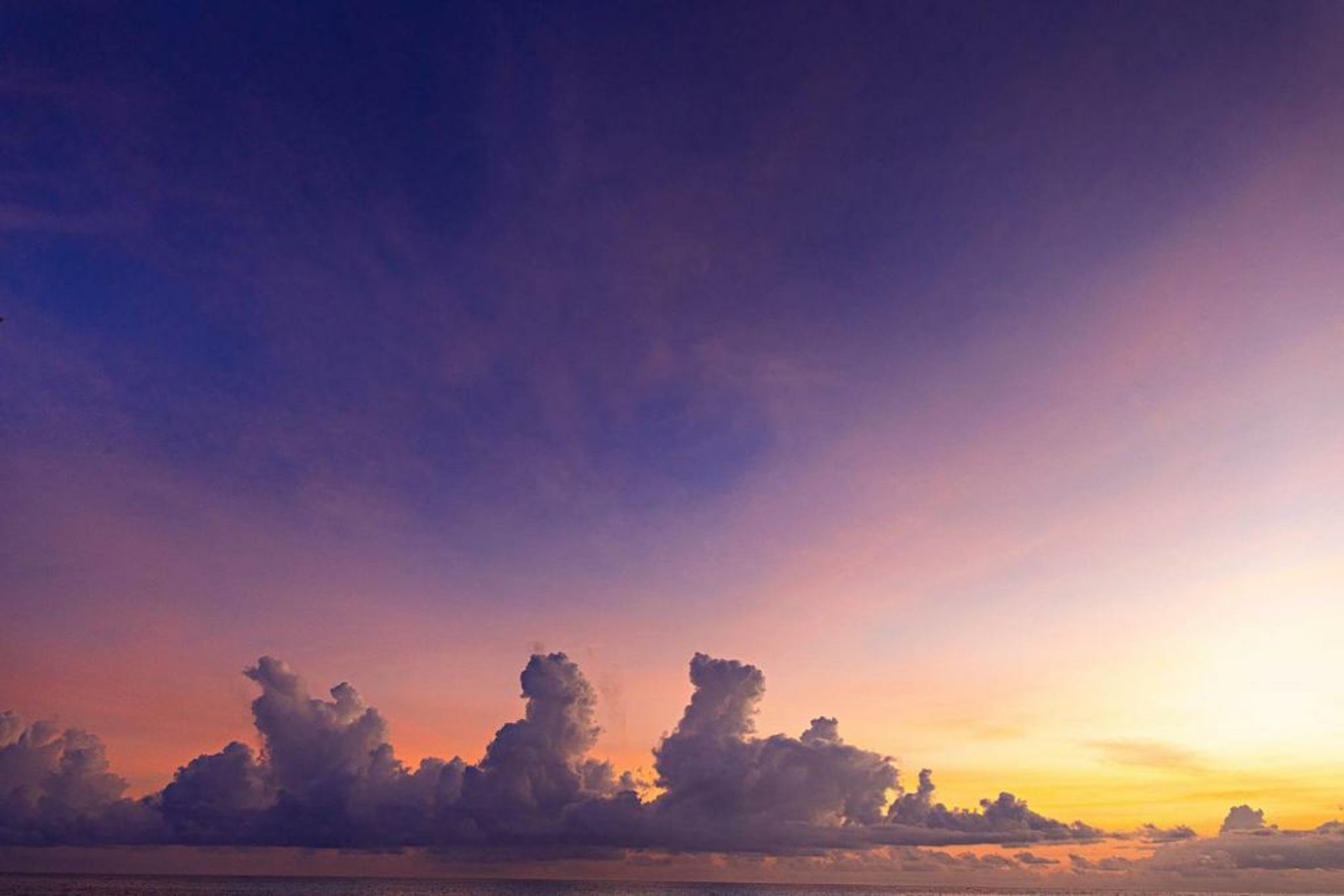 The Island - Pongwe Lodge