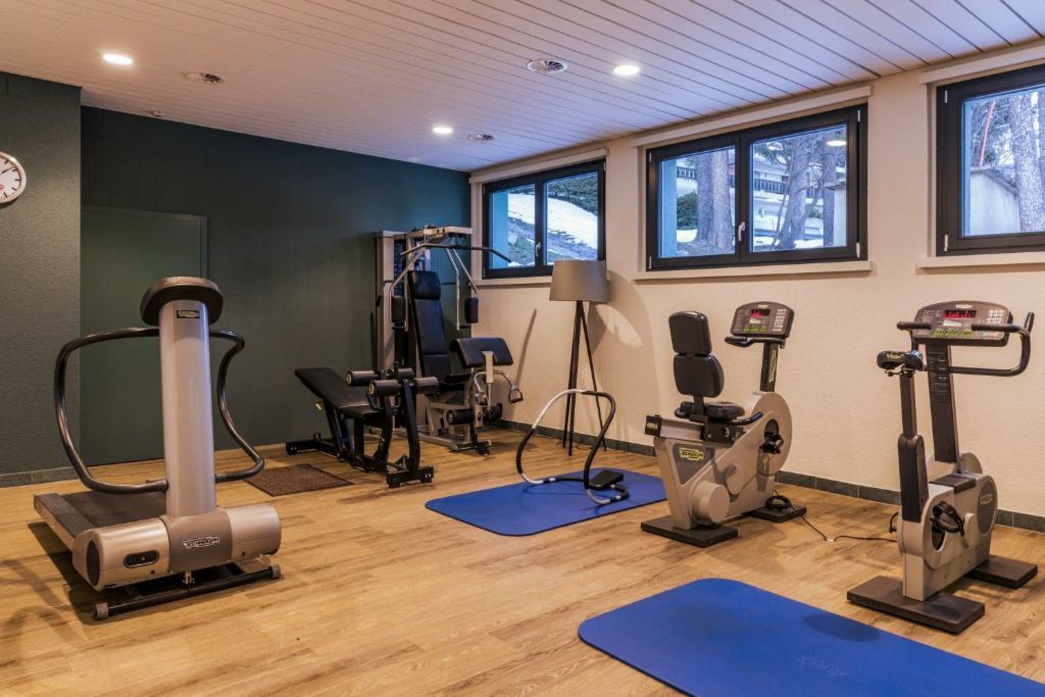 Faern Crans-Montana Valaisia