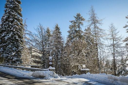 Faern Crans-Montana Valaisia