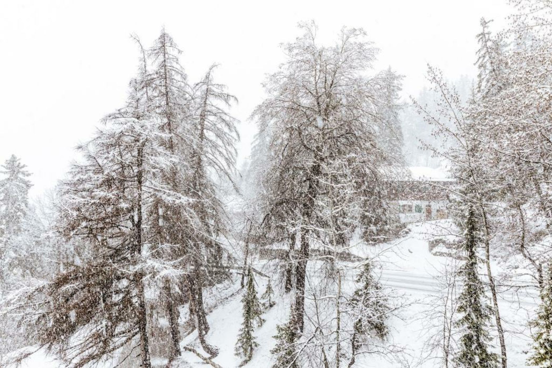 Faern Crans-Montana Valaisia