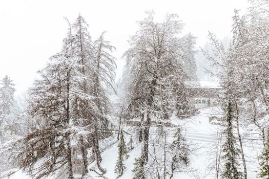Faern Crans-Montana Valaisia