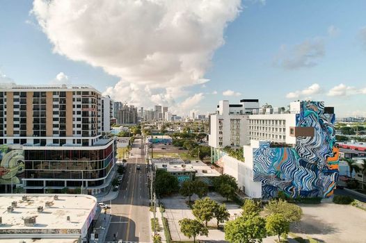 Arlo Wynwood