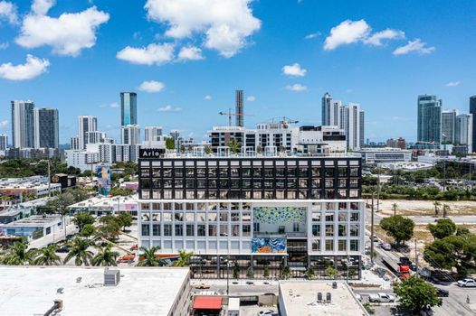 Arlo Wynwood