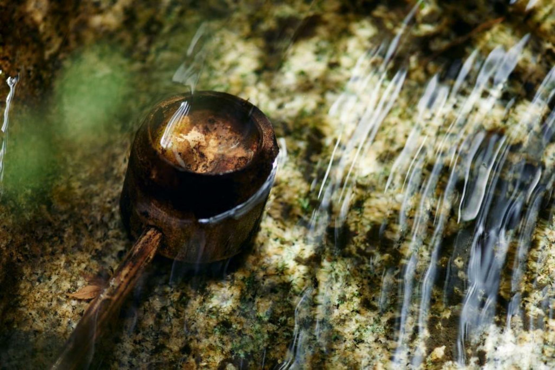 YADORU KYOTO HANARE Mizunoe No Yado