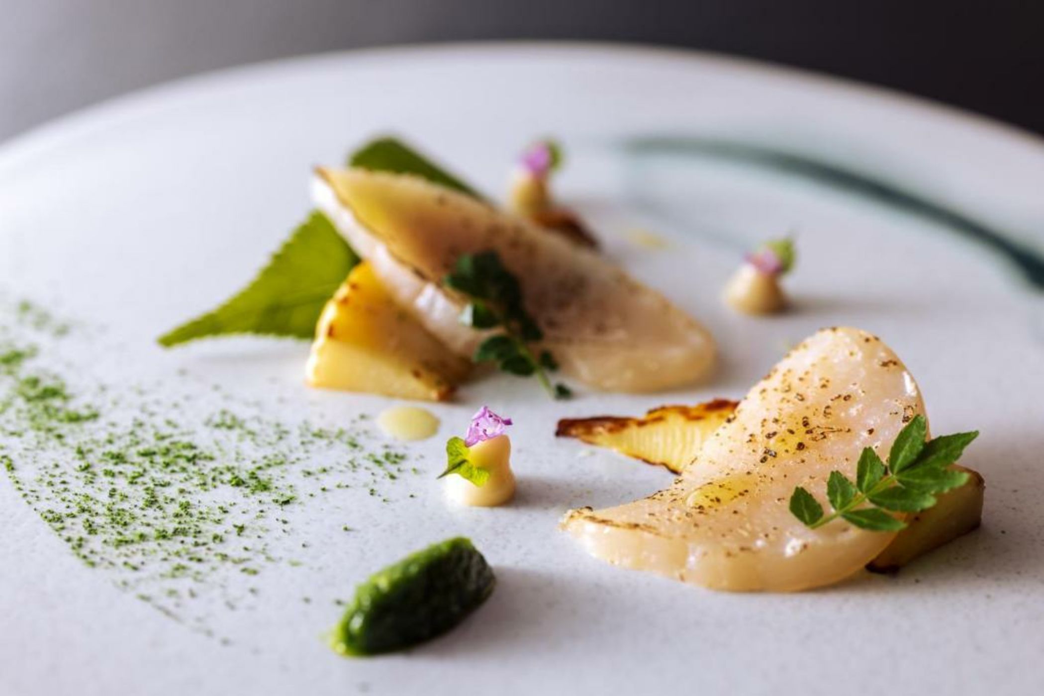 Hotel Okura Kyoto Okazaki Bettei -Age Requirement 12 over-