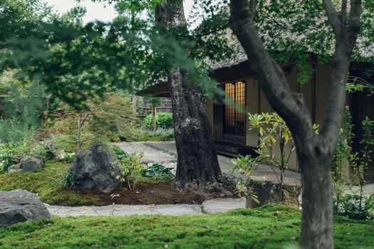 MUNI KYOTO