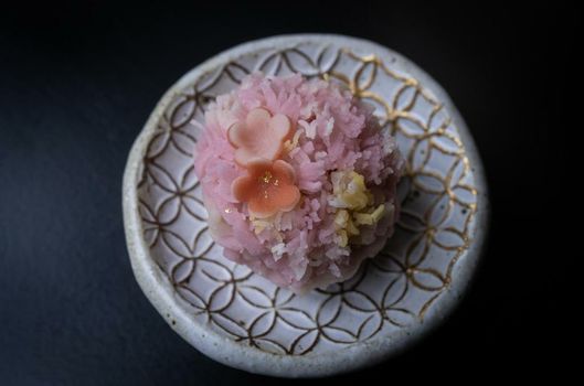 Nazuna Kyoto Gosho