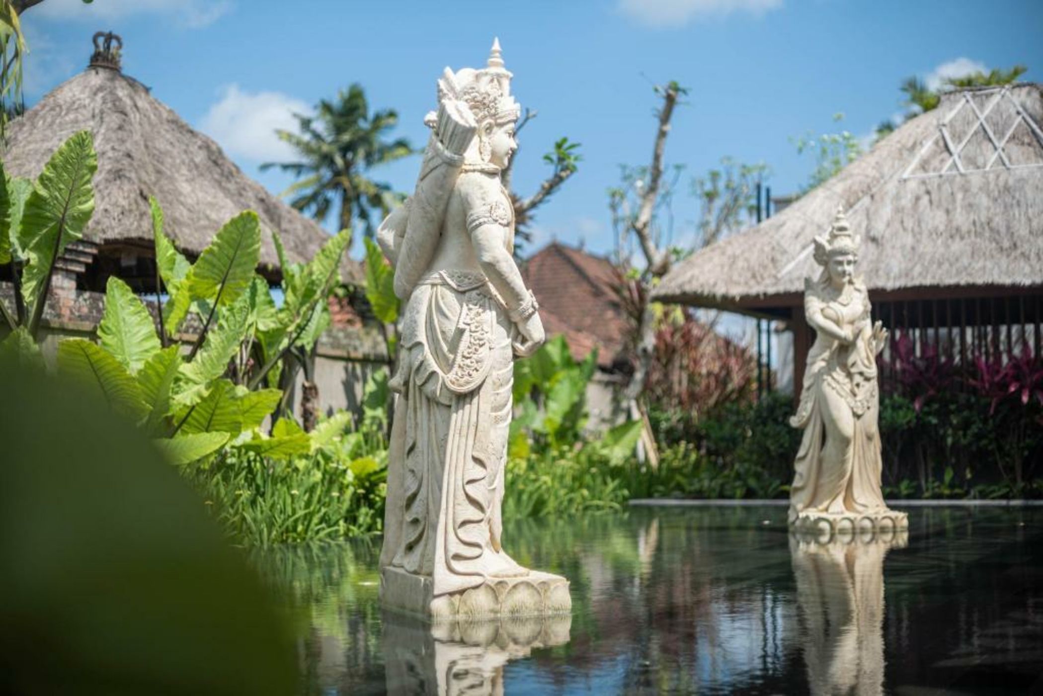 Kappa Senses Ubud