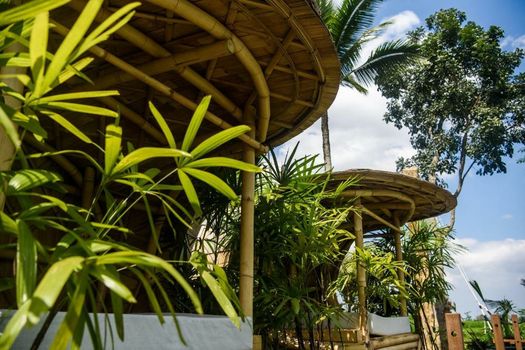 Kappa Senses Ubud