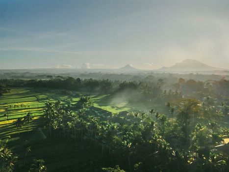 Kappa Senses Ubud