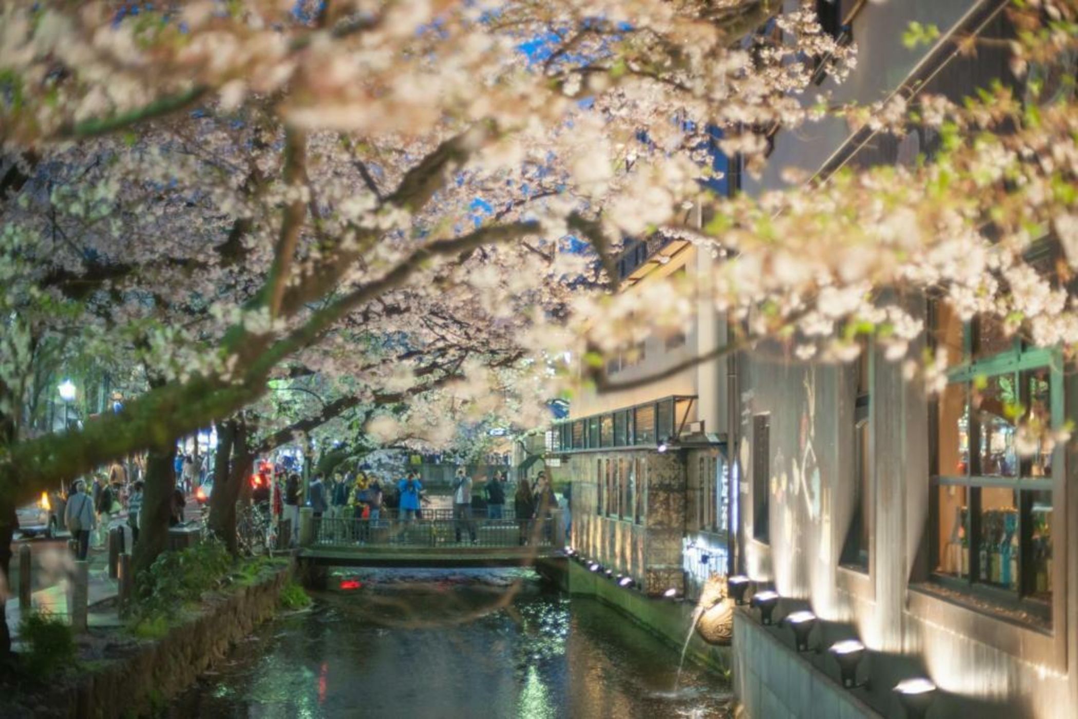 TSUGU Kyoto Sanjo by THE SHARE HOTELS