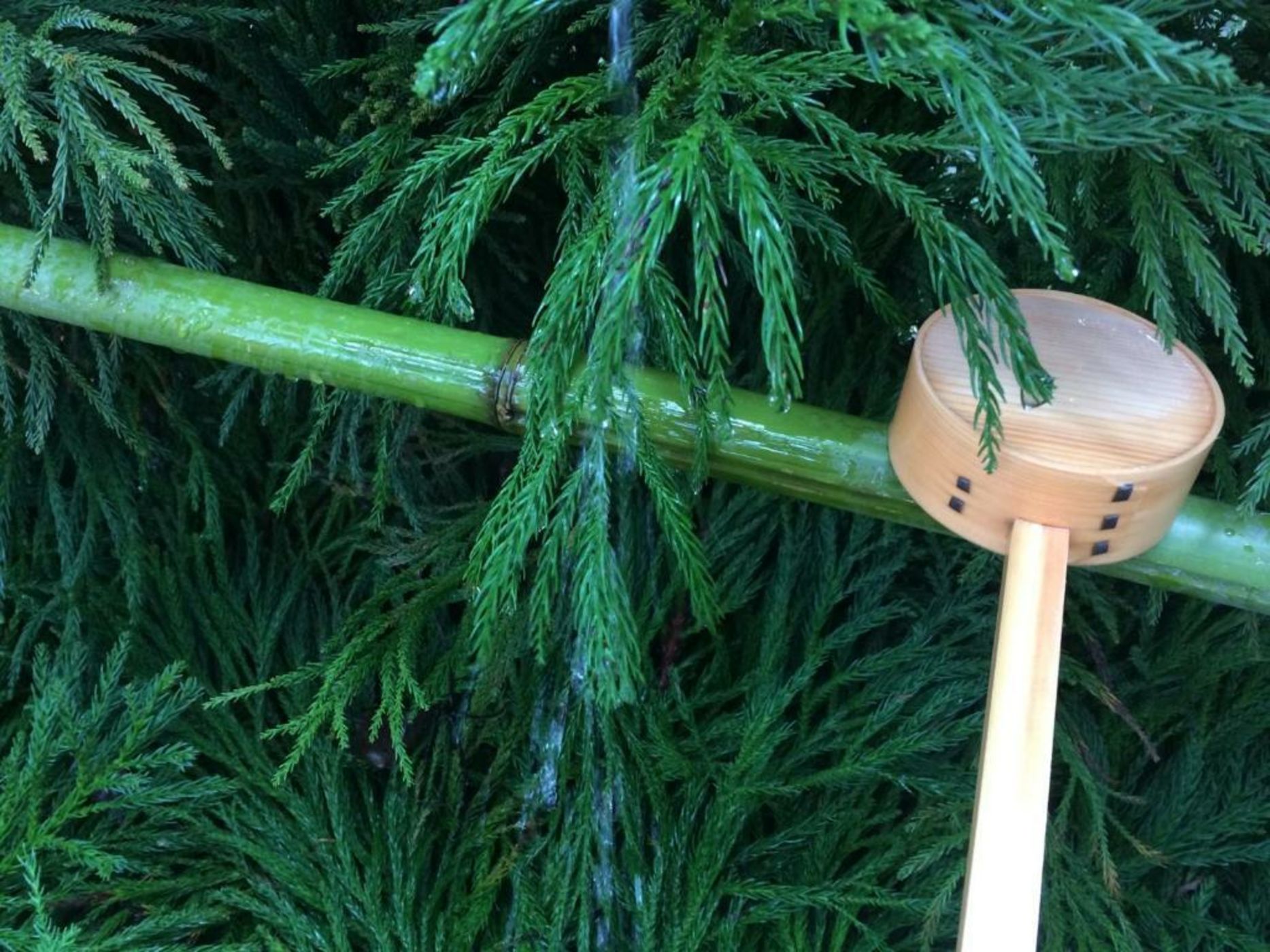 TSUGU Kyoto Sanjo by THE SHARE HOTELS