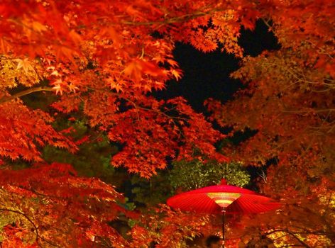 TSUGU Kyoto Sanjo by THE SHARE HOTELS