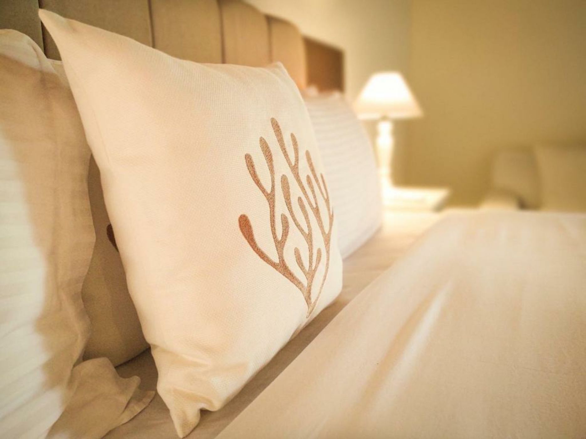 A Concept Hotel & Spa