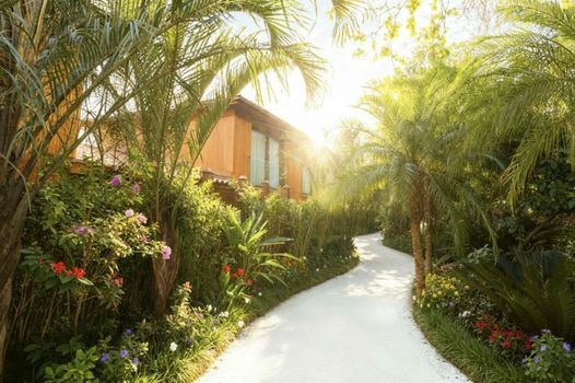 Zendaya Resort Beach Sport & Spa