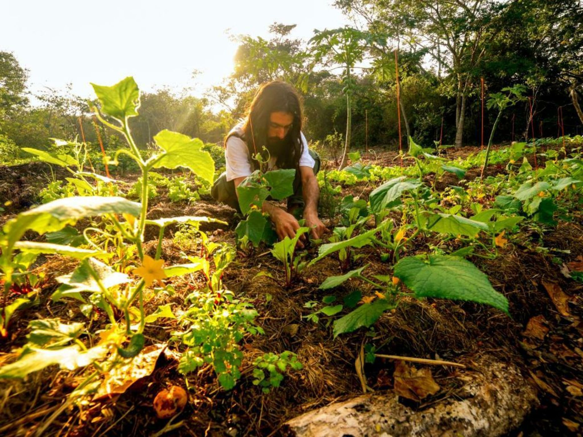 Buzios Espiritualidade Hotel
