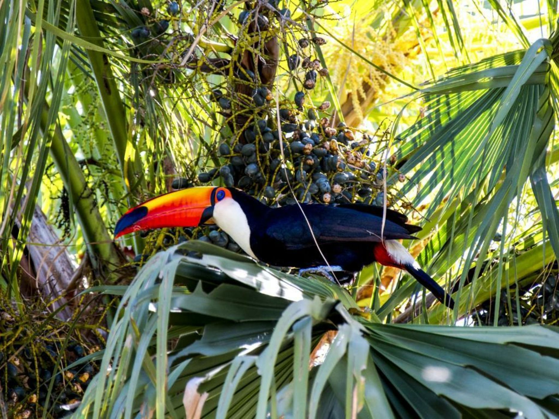 Buzios Espiritualidade Hotel