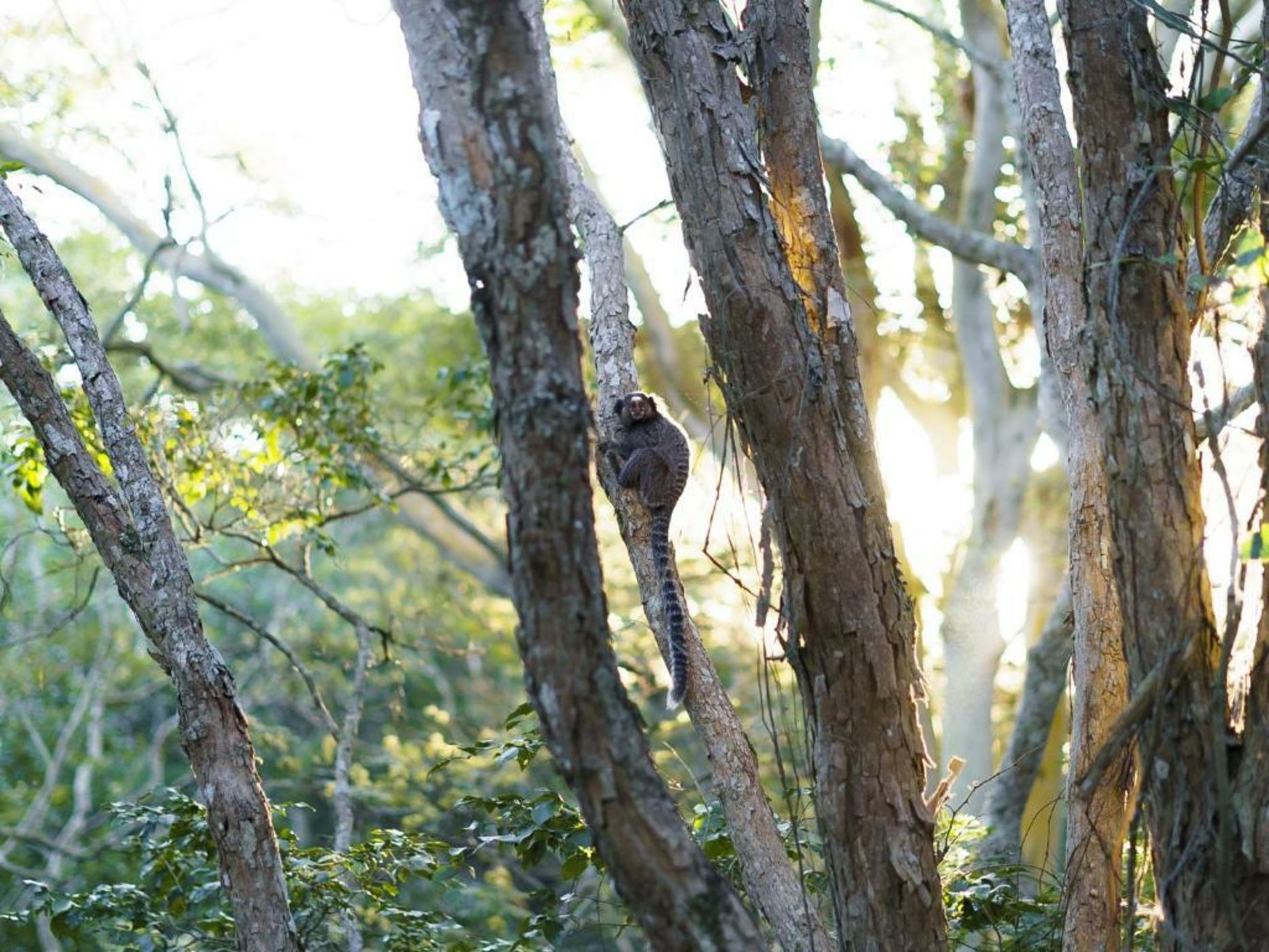 Buzios Espiritualidade Hotel
