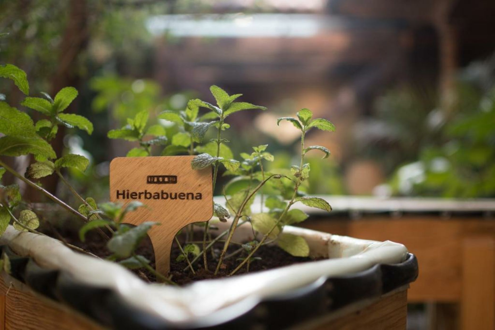 Taller de Juan - Casa Hotel