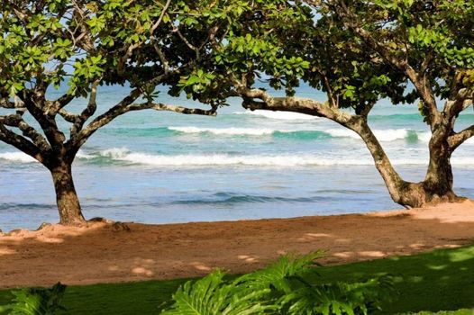 1 Hotel Hanalei Bay