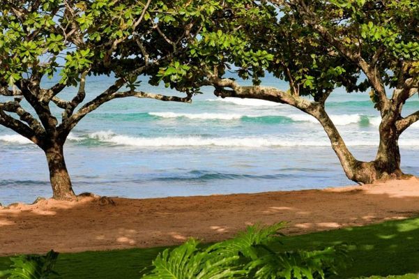 1 Hotel Hanalei Bay