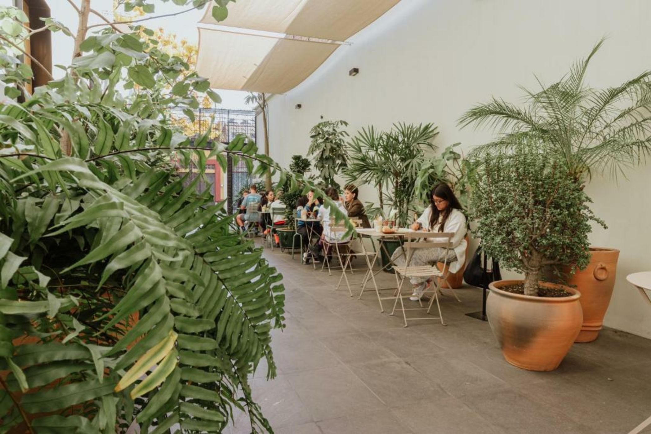 Majagua Hotel Boutique -Adults Only