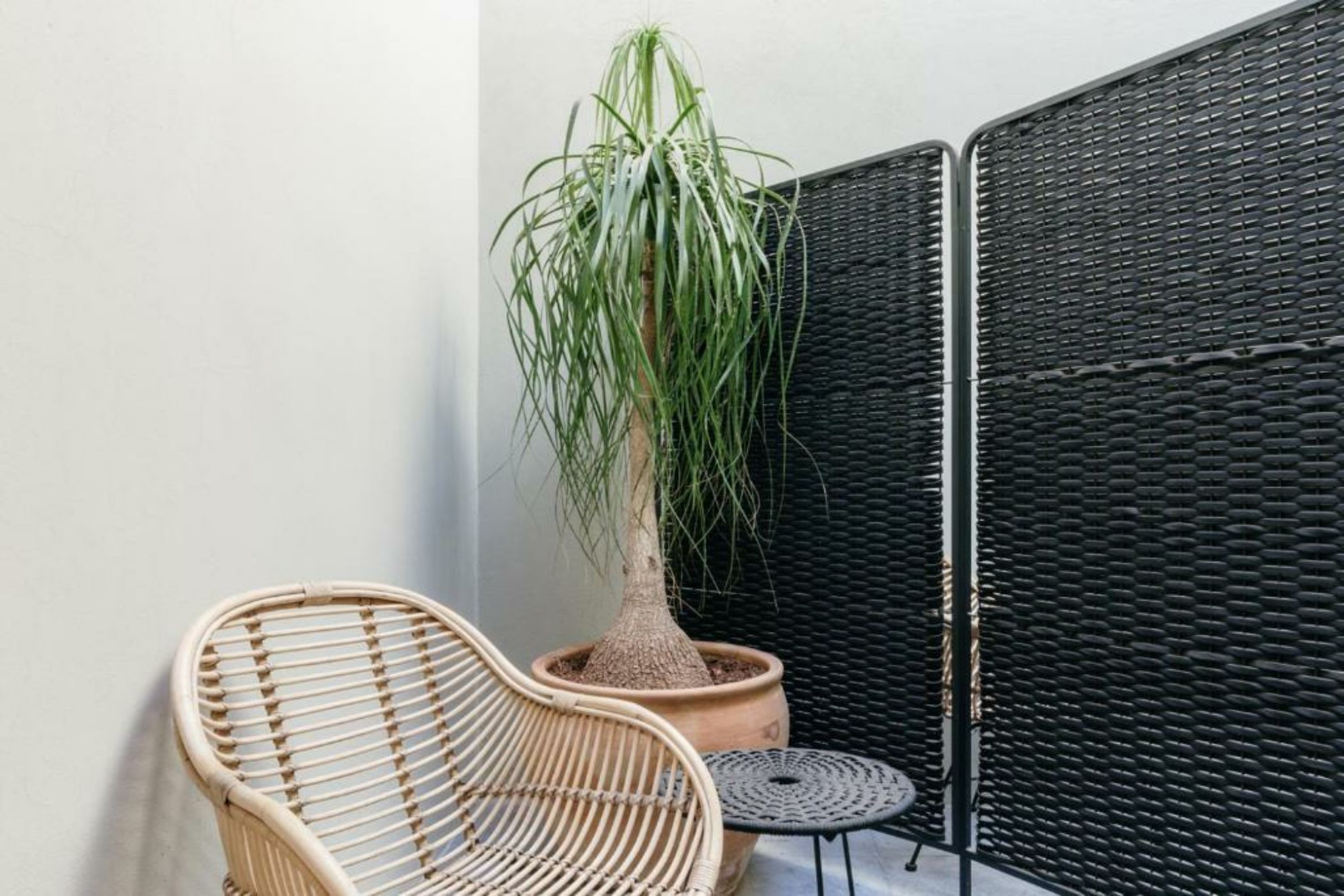 Majagua Hotel Boutique -Adults Only