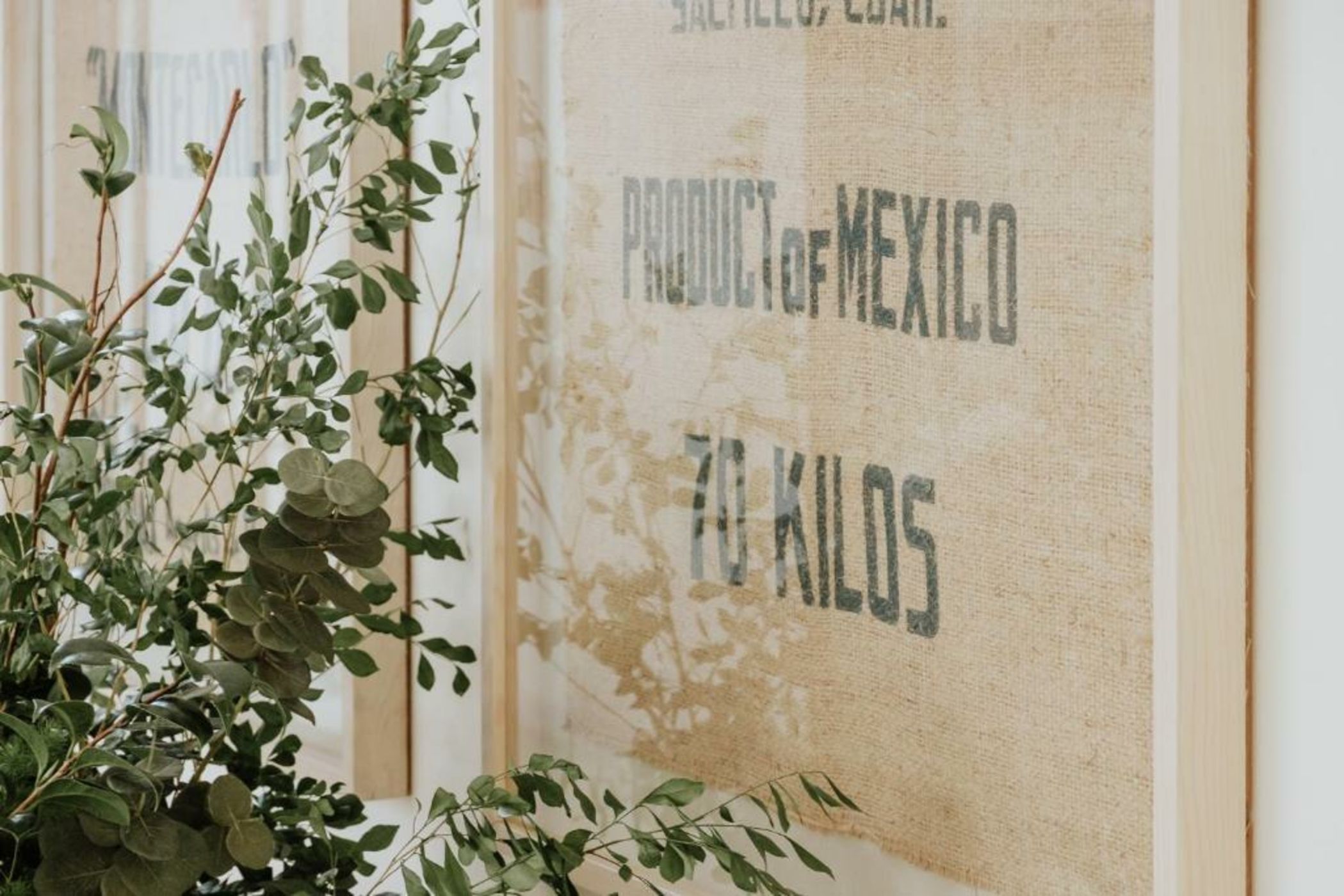 Majagua Hotel Boutique -Adults Only