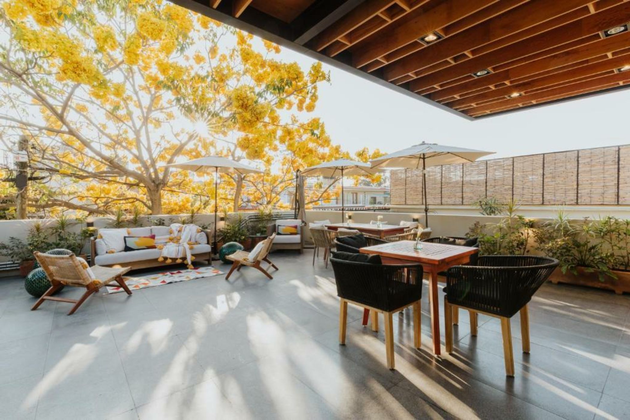 Majagua Hotel Boutique -Adults Only