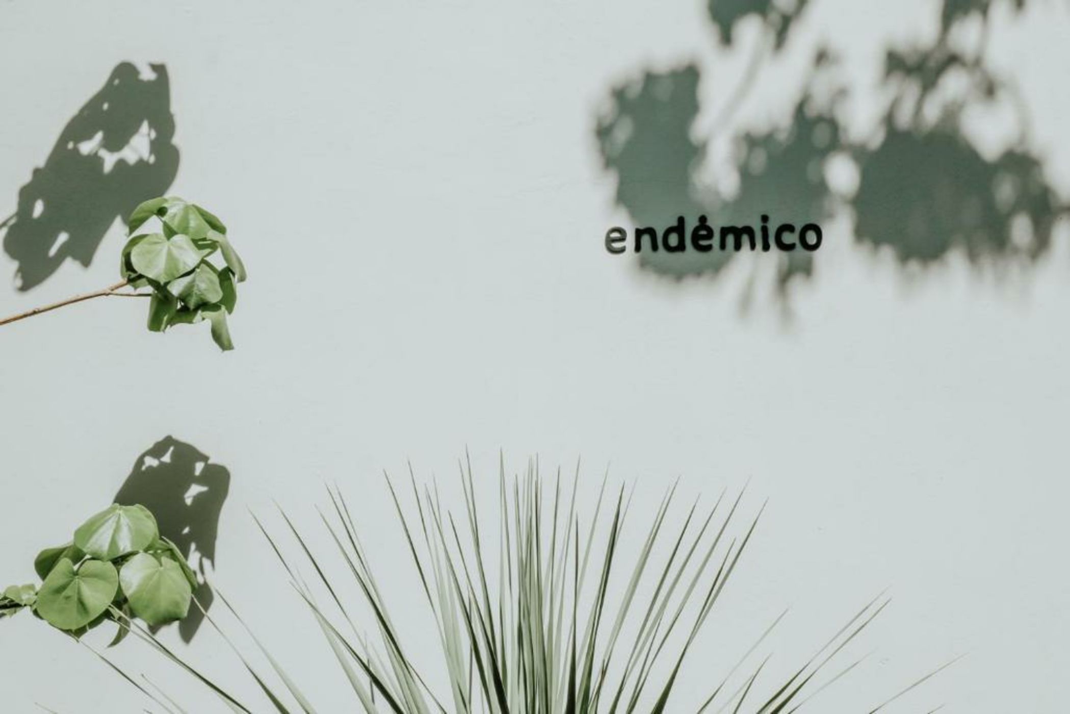 Majagua Hotel Boutique -Adults Only