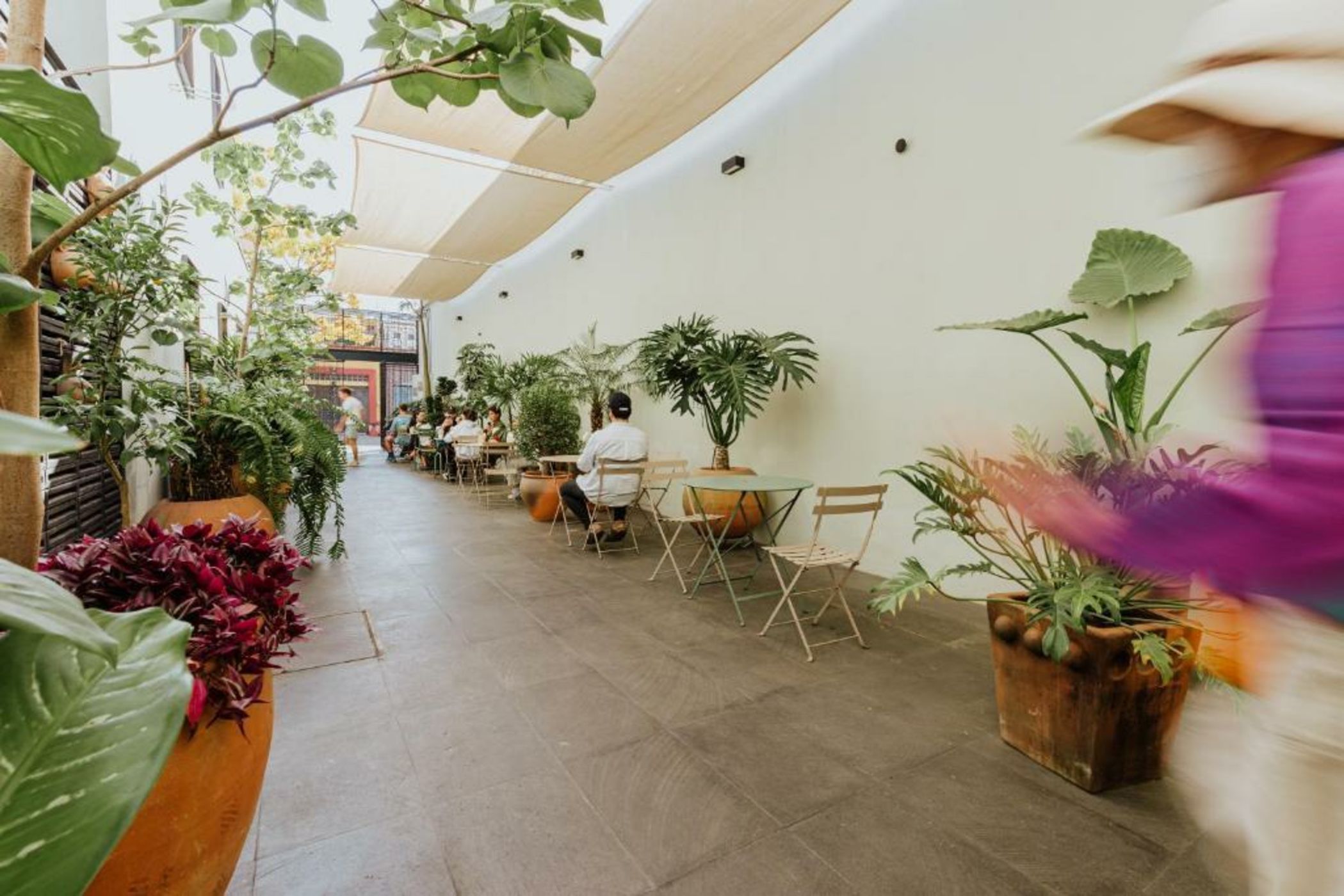 Majagua Hotel Boutique -Adults Only