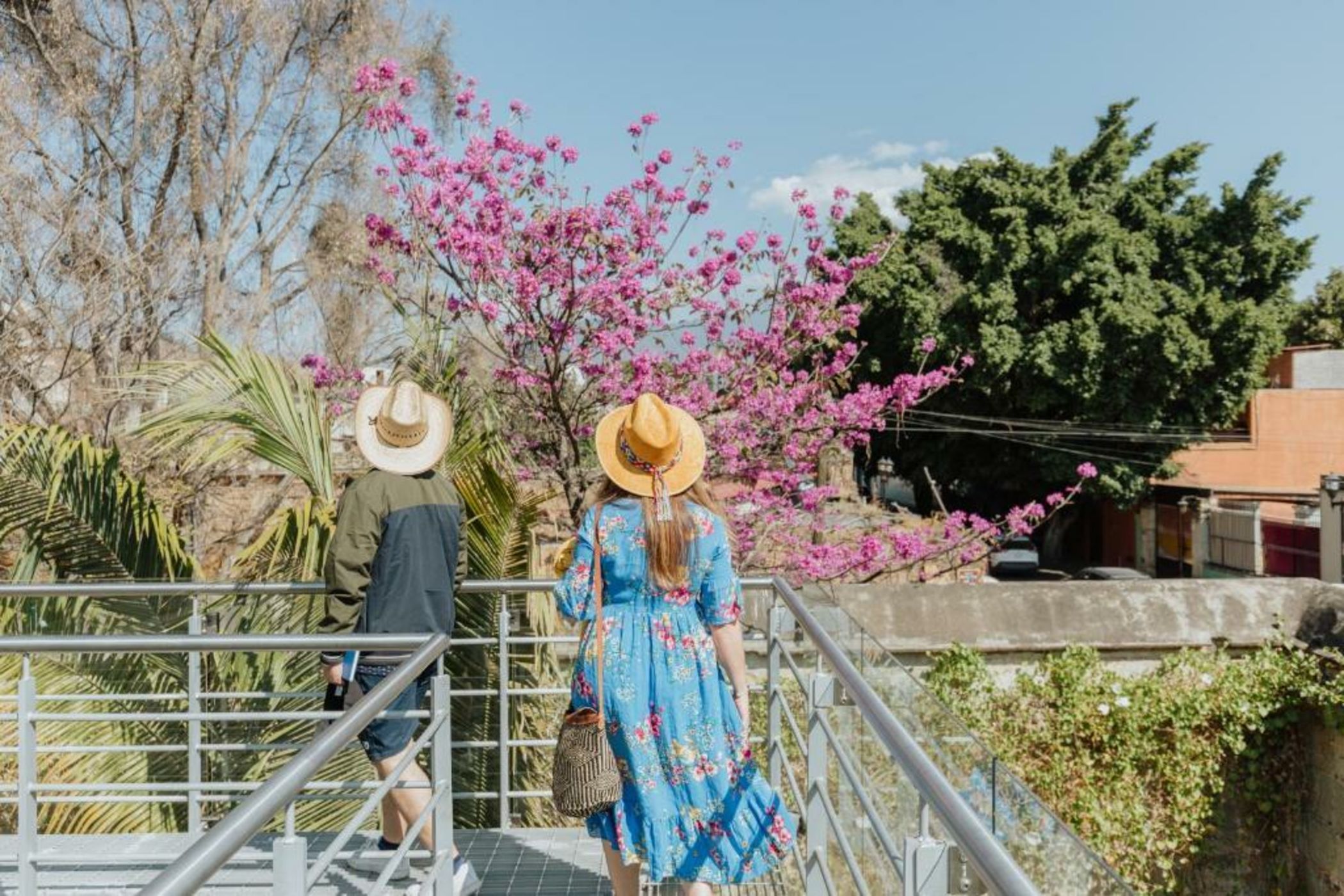 Majagua Hotel Boutique -Adults Only