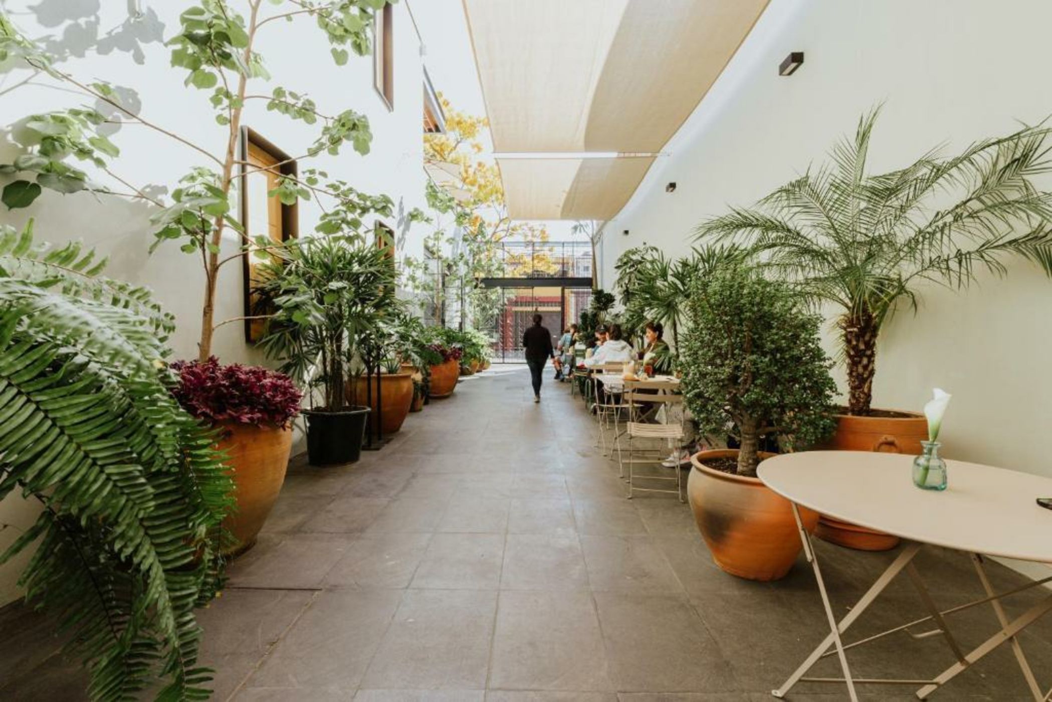 Majagua Hotel Boutique -Adults Only